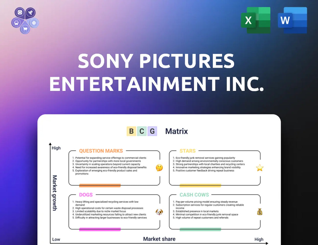 Sonypictures Bcg Matrix