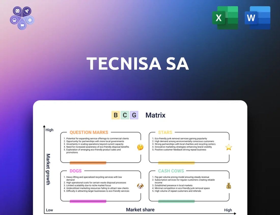Tecnisa Bcg Matrix