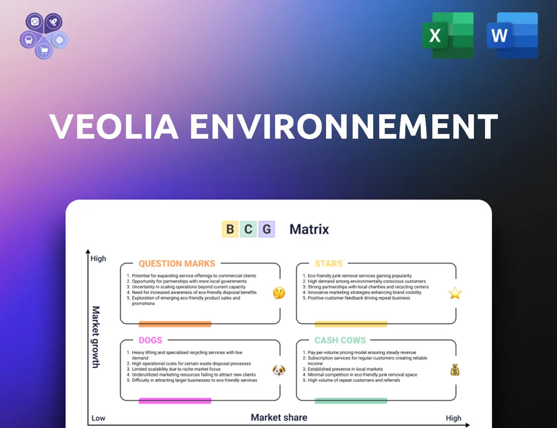 Veolia Bcg Matrix